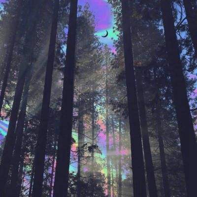 南宫体育手机app下载